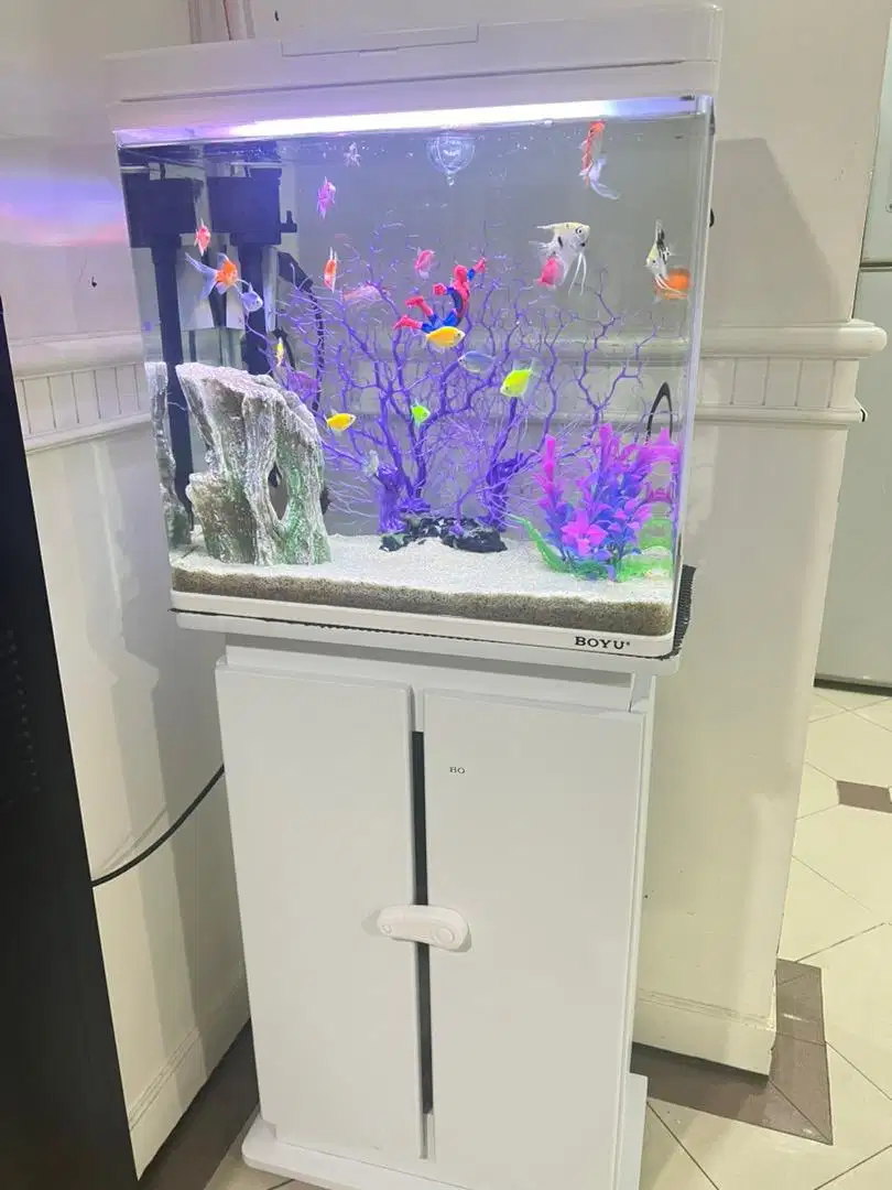 Boyu aquarium 45 ltr putih Like new