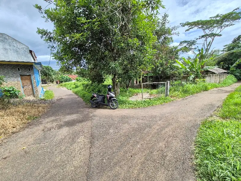 tanah pas pertigaan gratis saung dan sudah pager keliling