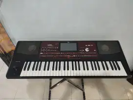 KORG PA 700 HDMI SEGEL