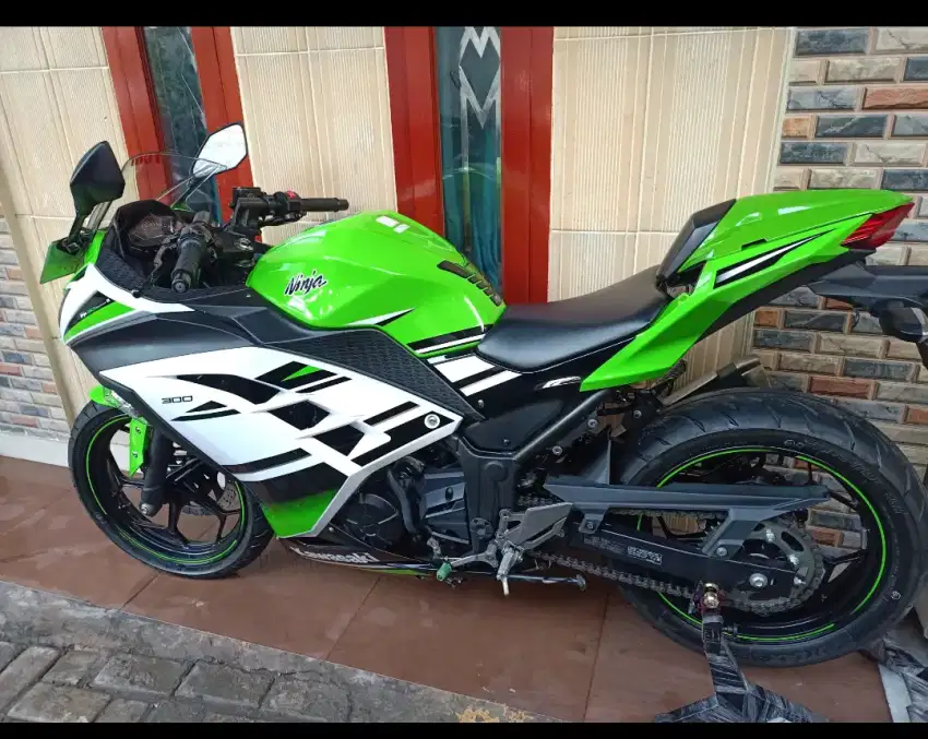 Ninja 300 unevesery