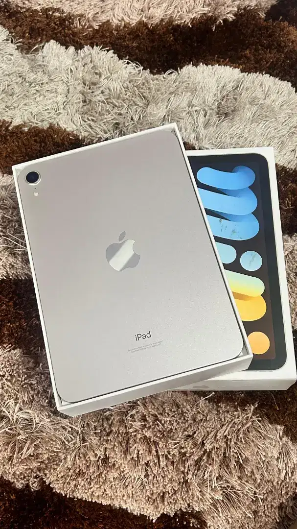 ipad mini 6 wifi only