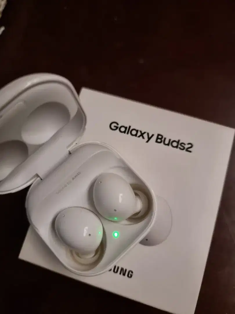 Samsung Ear Buds 2