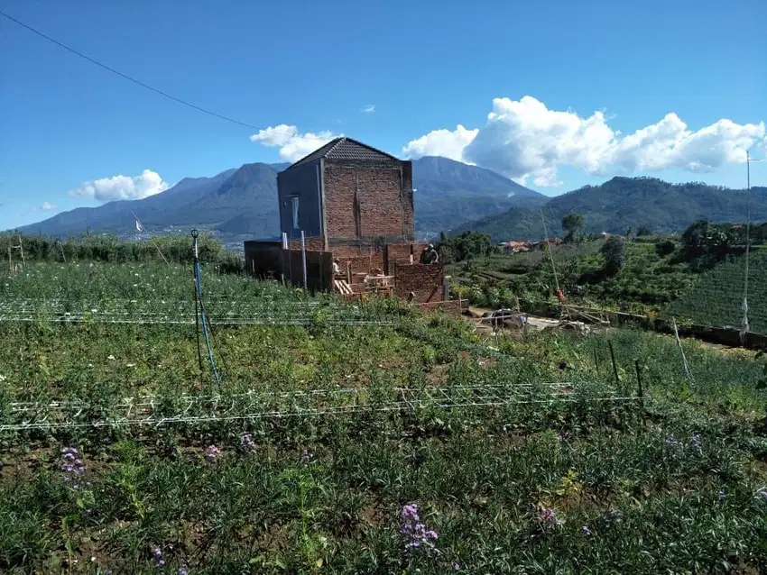 Villa View Pegunungan Area Kebun Buah dan Bunga