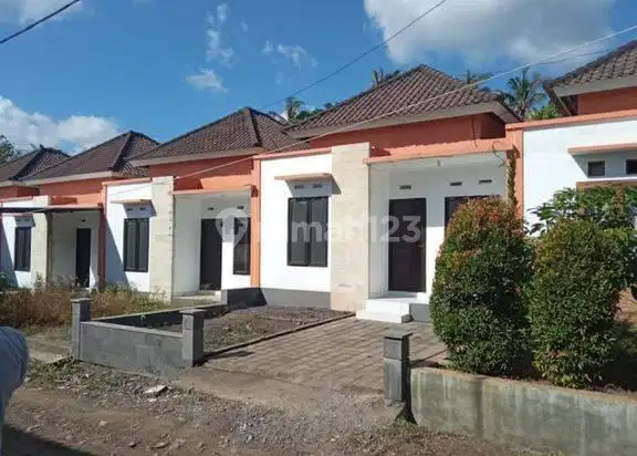 Rumah minimalis 1 km dari jalan antar provinsi di Tabanan Bali