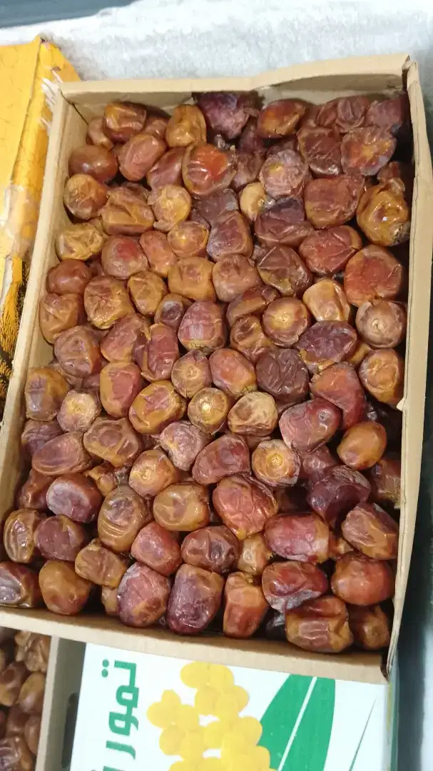 Kurma Sukari 1 duss 3 Kg