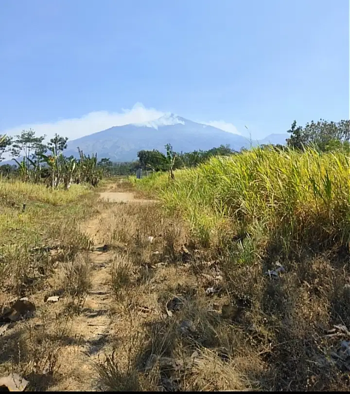 Tanah murah view gunung Arjuno