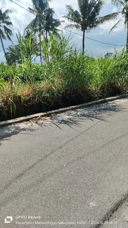 Bu Dijual Sawah di manisrenggo murah pol 2 muka jalan