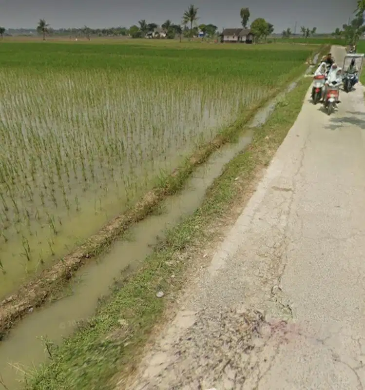 Tanah murah cocok u/perumahan atau gudang Muara Gembong Bekasi Jabar