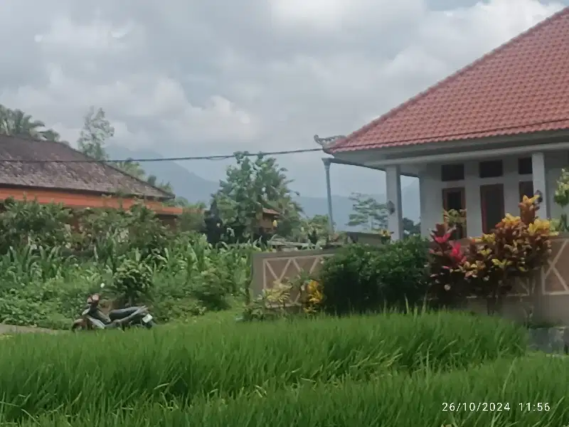 Tanah Pertanian  View Gunung Cocok Untuk Villa di Penatahan Penebel