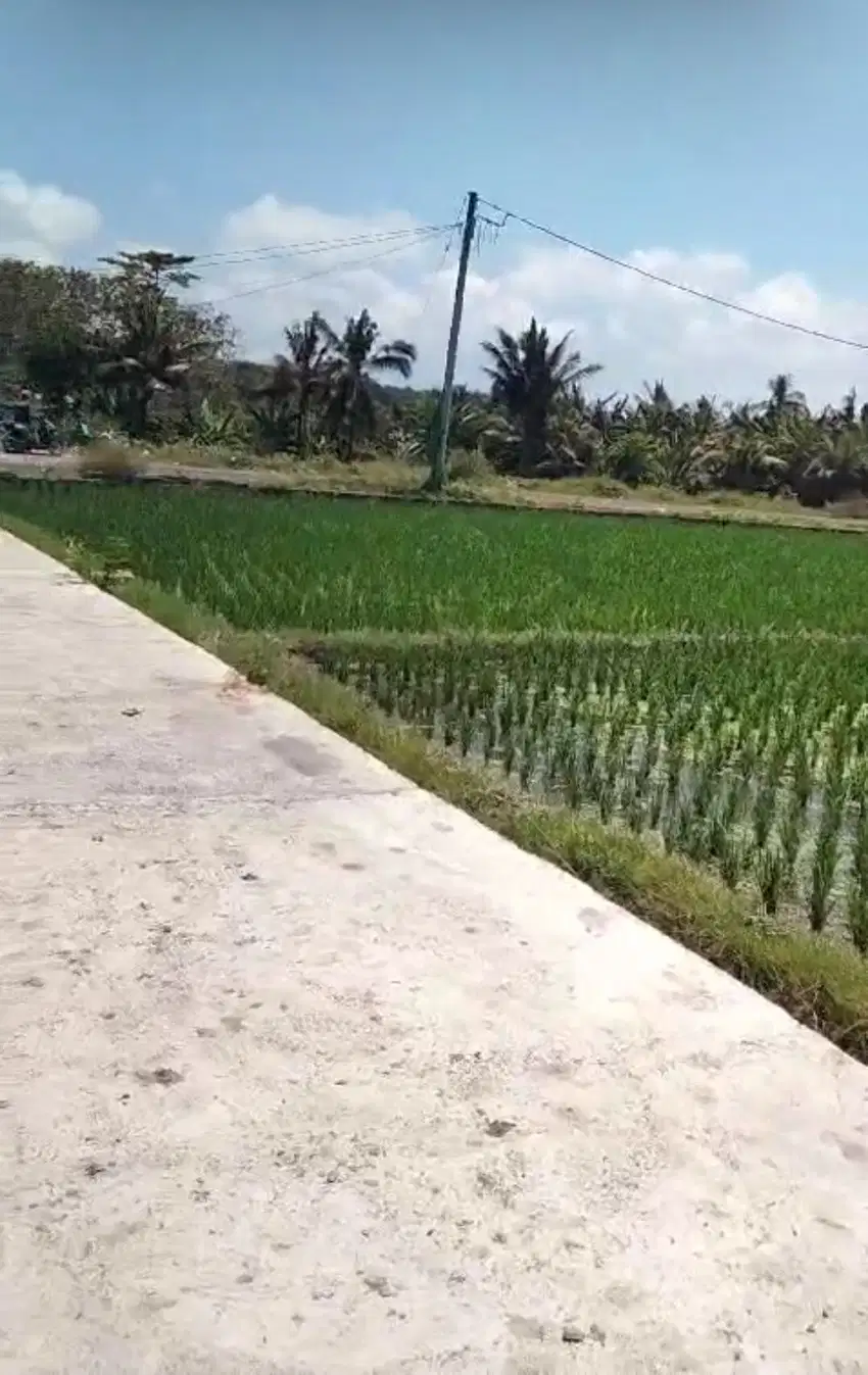 BUC 5 are View Pantai dan sawah di Lebih Gianyar Bali