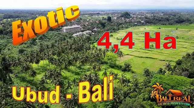 Affordable 44,000 sqm in Ubud closed to the Monkey Forest