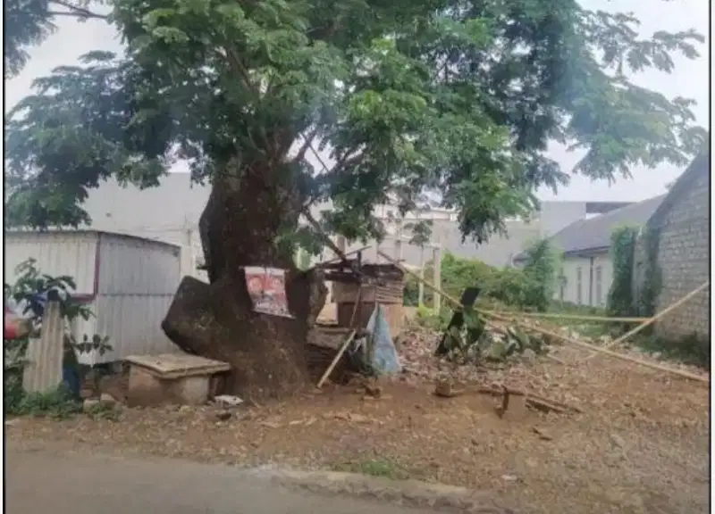 Tanah Tembalang Bulusan Utara Undip