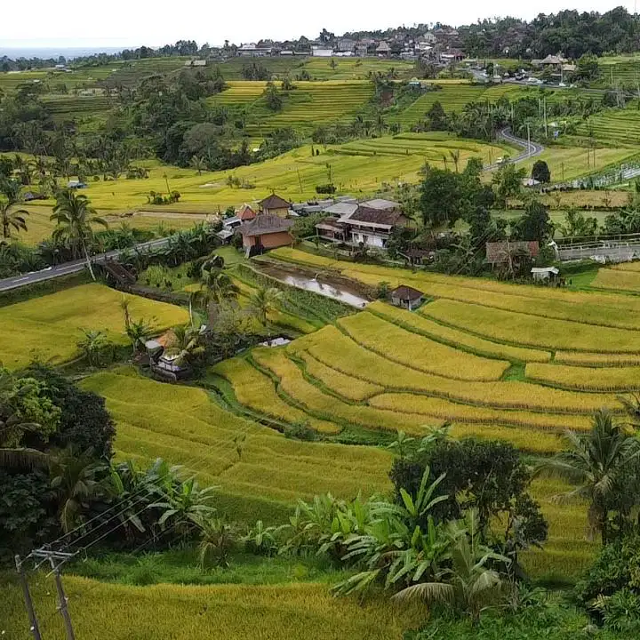 jual tanah jatiluwih penebel tabanan