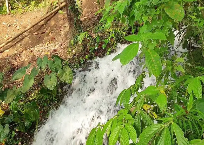 Tanah Kebun Di Penebel Bali Hanya 15 Menit Ke Jatiluwih