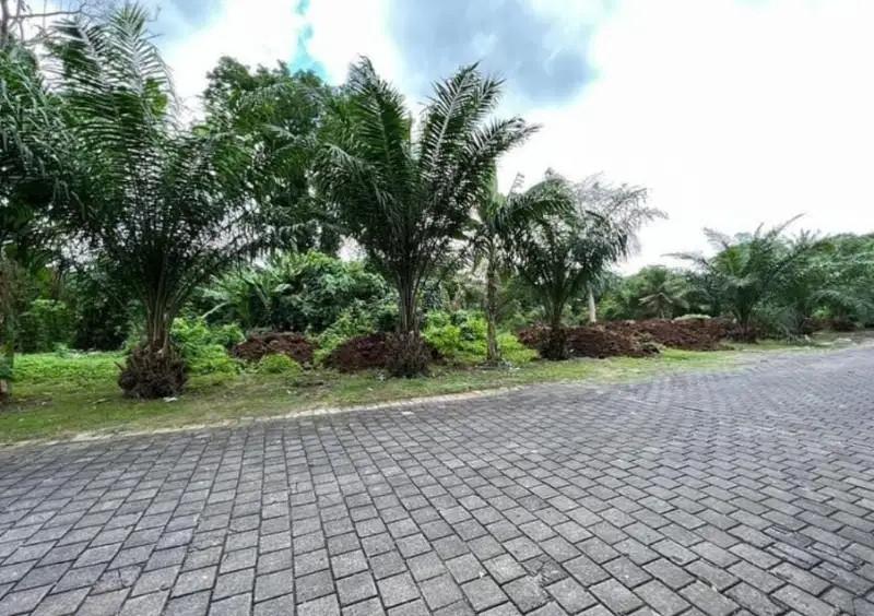 Tanah 880m2 Los sungai di GrenLot Cemagi Munggu Badung