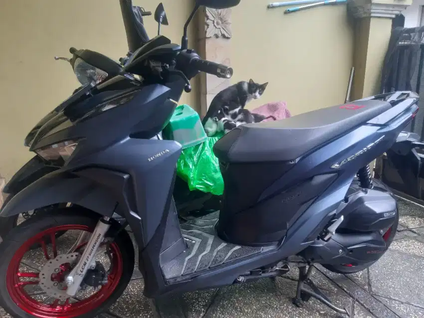 Vario 150 Led thn 2020