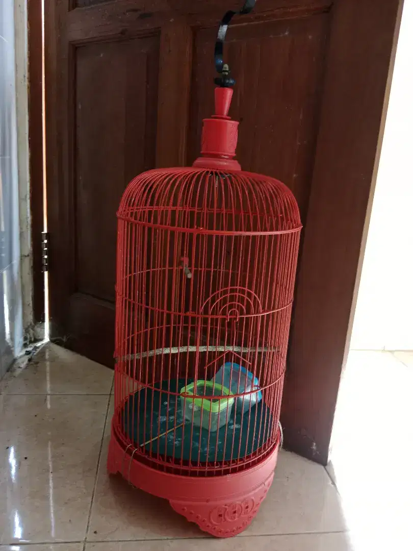 Kandang bagus burung