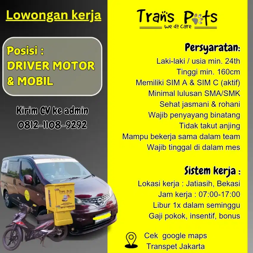 Lowongan Driver & Groomer Kucing+Catsitter