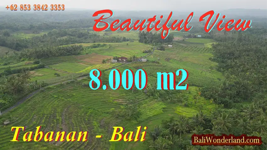 Beautiful Rice fields and Mountain View in Selemadeg Tabanan