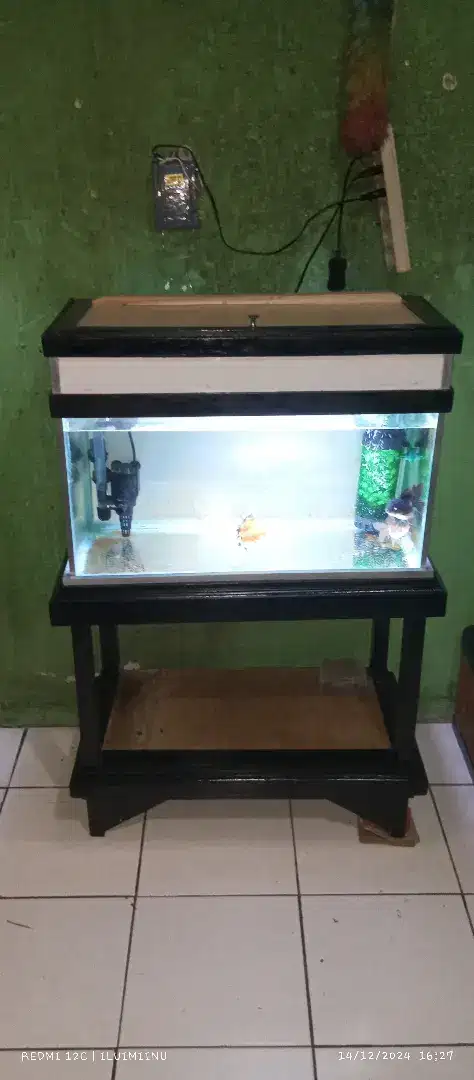 Aquarium 1 set tinggal colok