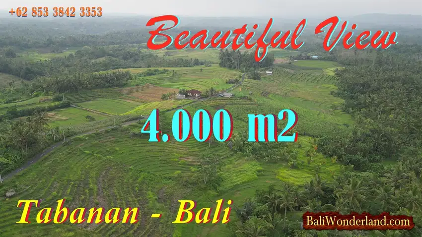 Under Market Price 4,000 sqm in Selemadeg Tabanan