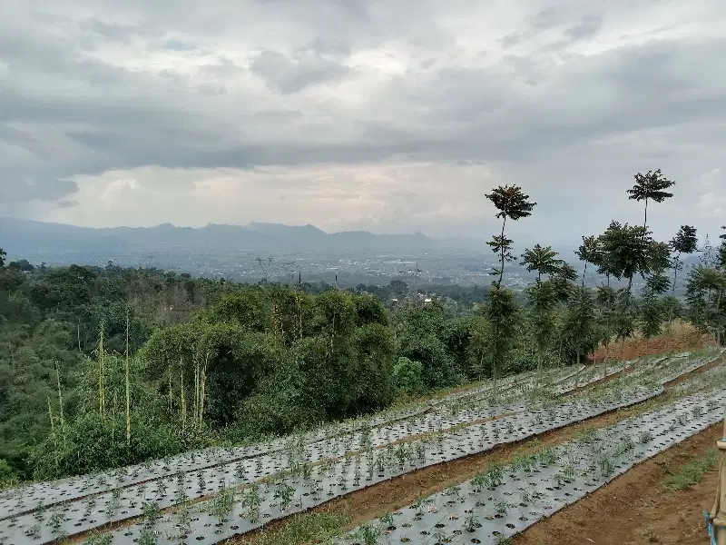 TANAH KEBUN MURAH DEKAT BANJARAN KOTA UNTUK WISATA