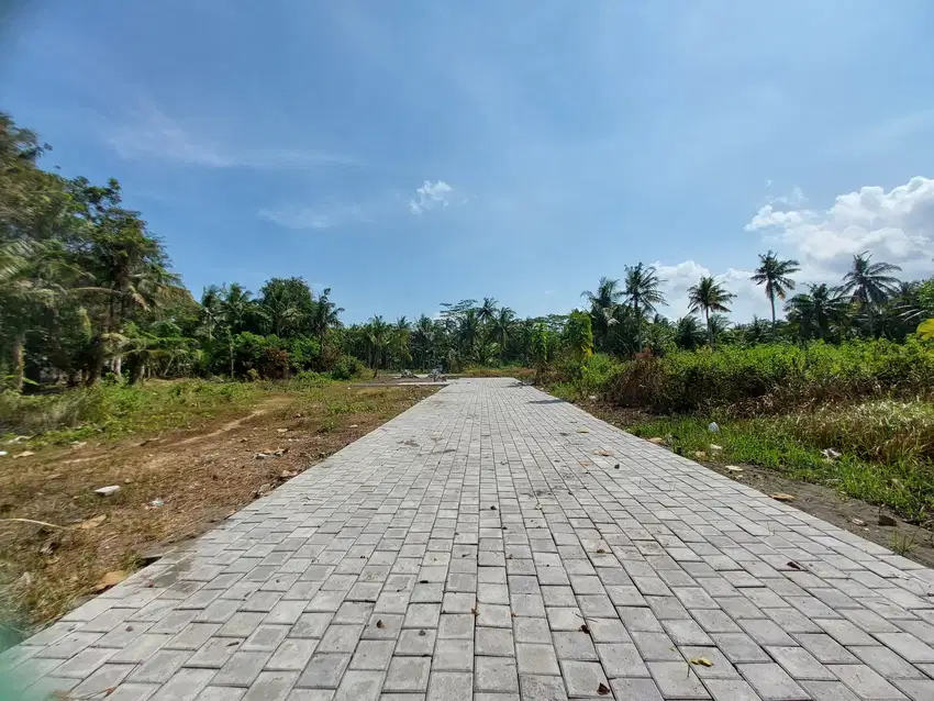 TANAH MURAH DEKAT UAD KULONPROGO HANYA 900rb saja