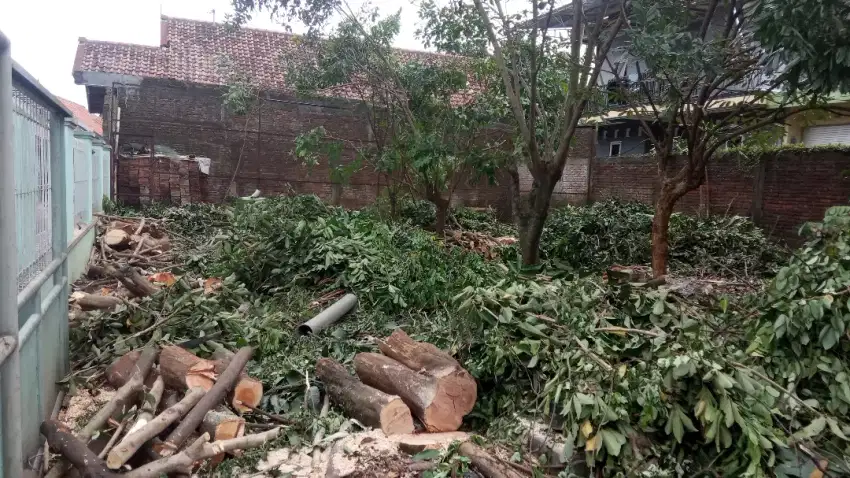 Tebang pohon, potong rumput, serta pembuangan kota Semarang