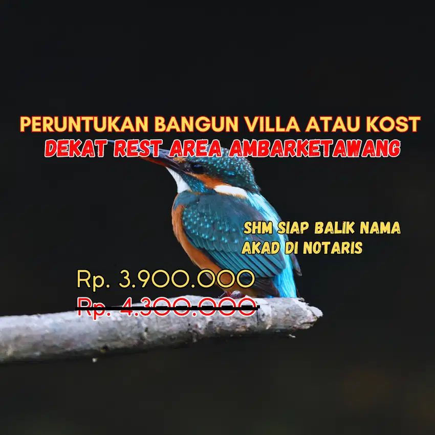 Promo Tanah Dekat Kampus IKIP PGRI, Harga Spesial Akhir Tahun!