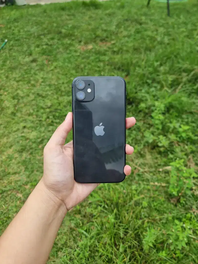 iPhone 11 64gb ex iBox Bh 81% mulus