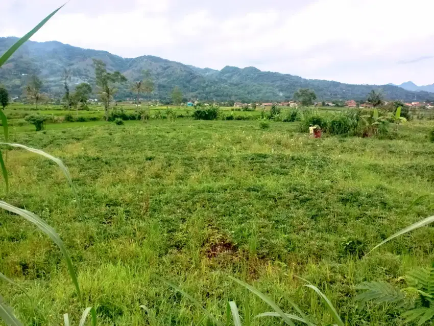 TANAH MURAH JLN PROVINSI CIMAUNG BANJARAN