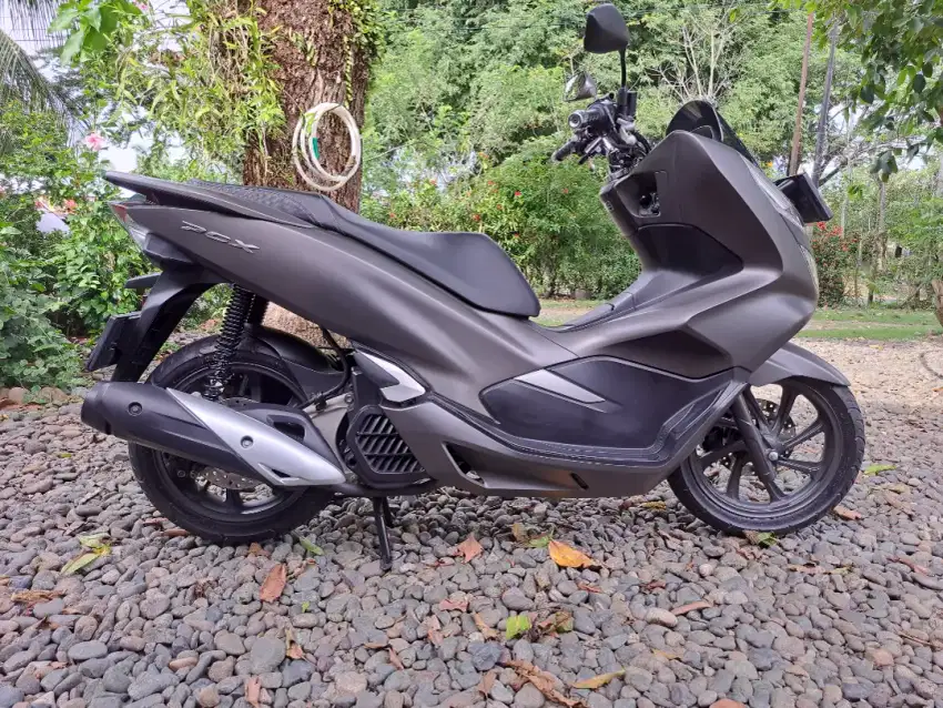 Honda PCX warna langka, Magnificient Matte Brown