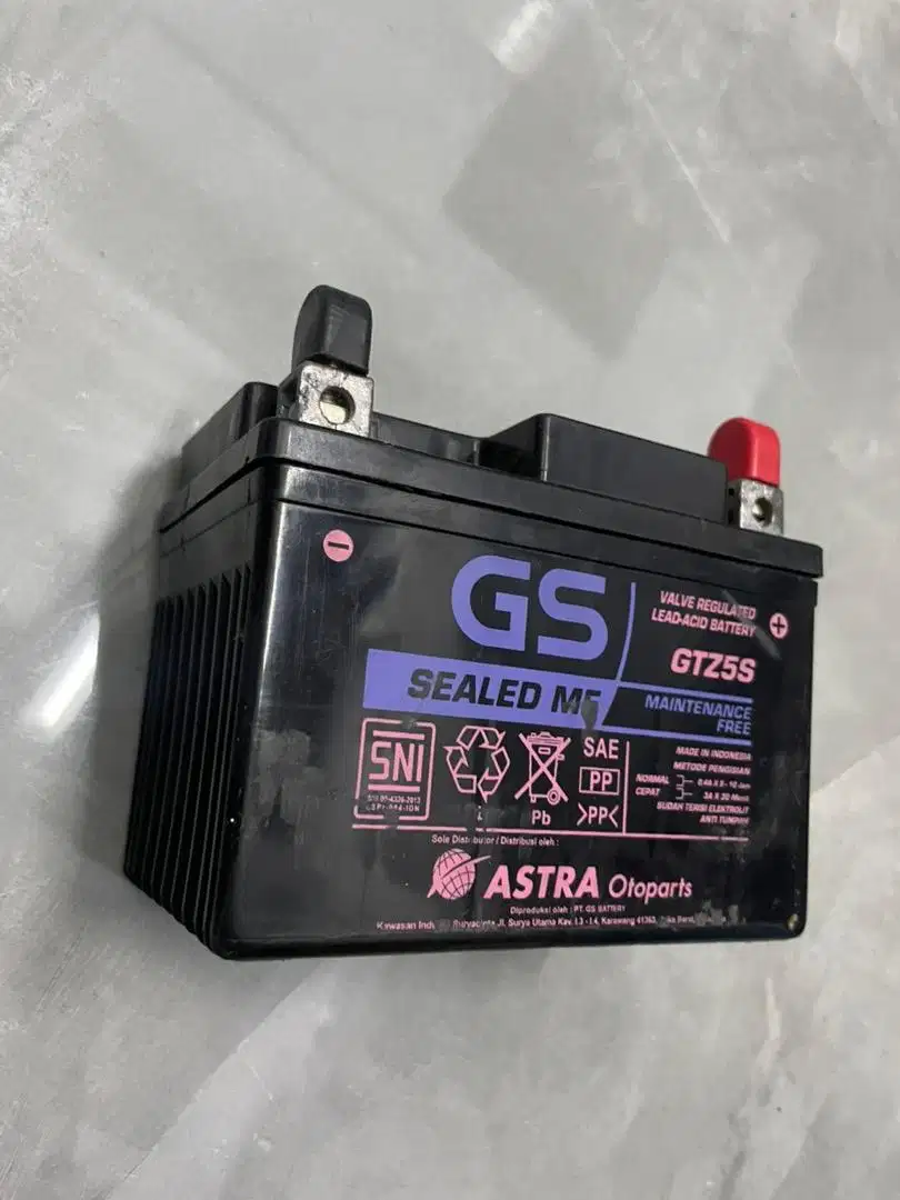 ACCU MOTOR GS GTZ5S MF