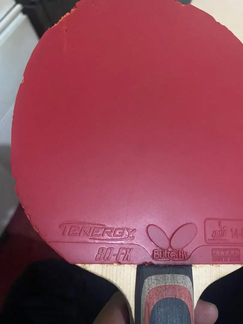 Bet tenis meja Donic & karet butterfly original