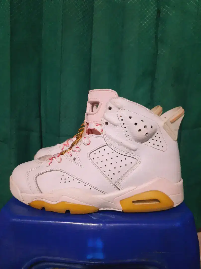 Sepatu nike air Jordan 6