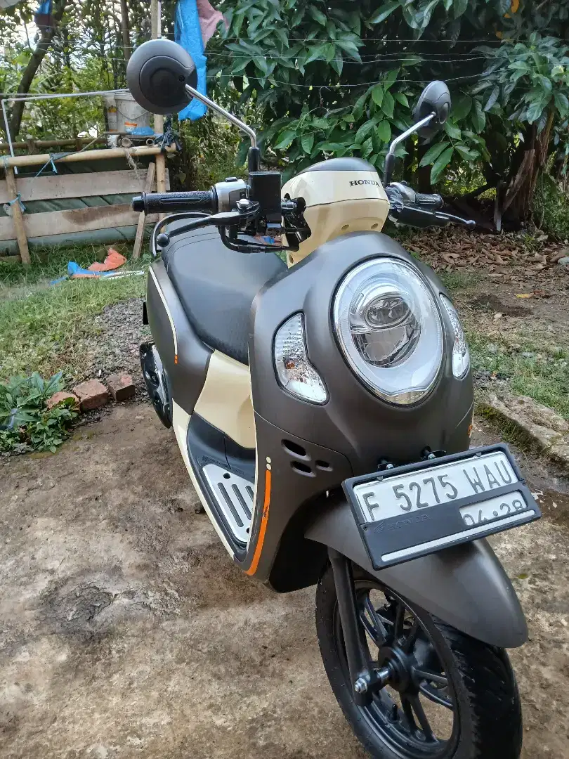 Scoopy prestige