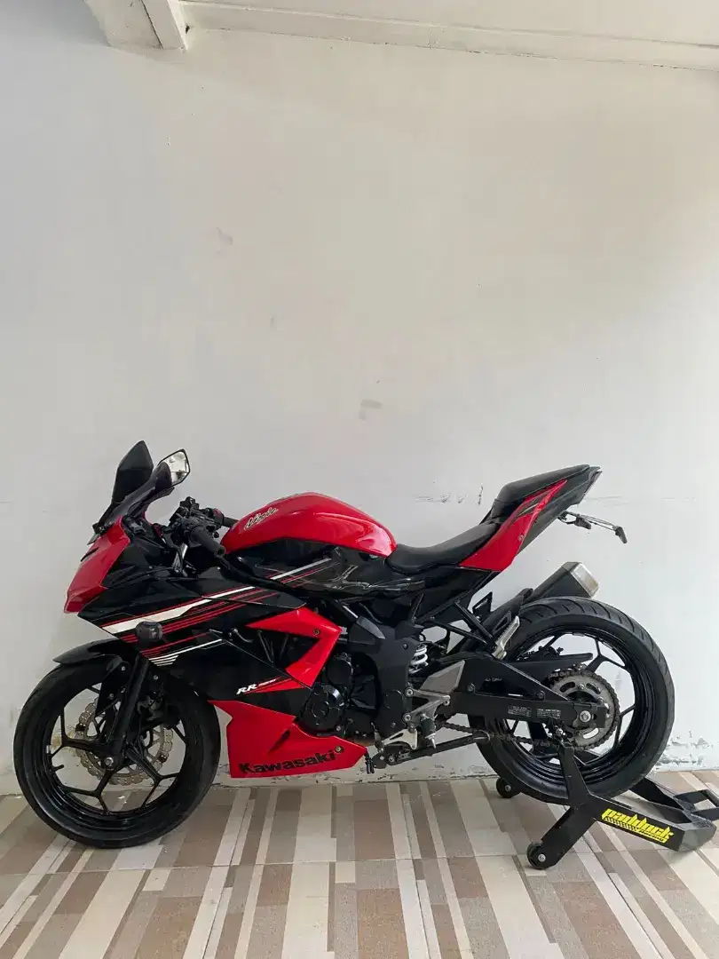 Ninja 250 SL/RR mono