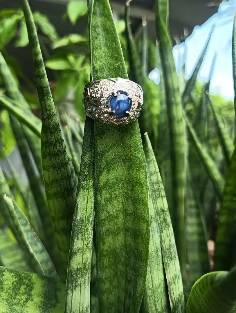 Cincin Blue Shapire