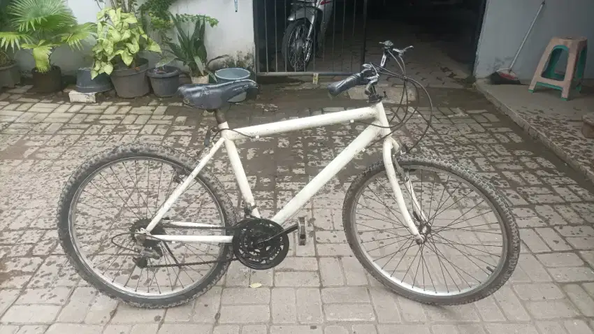 Sepeda taiwan normal siap gowes