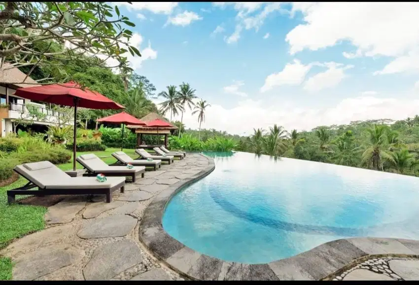 FOR SALE VILLA VIEW JUNGLE & SAWAH PAYANGAN UBUD BALI