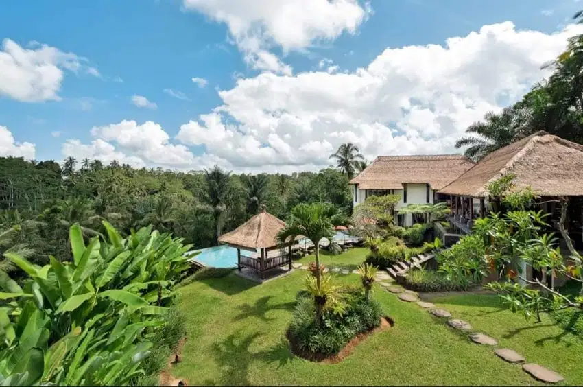 VILLA VIEW JUNGLE & RICEFIELD PAYANGAN UBUD BALI