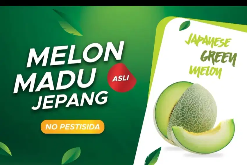 Melon madu jepang