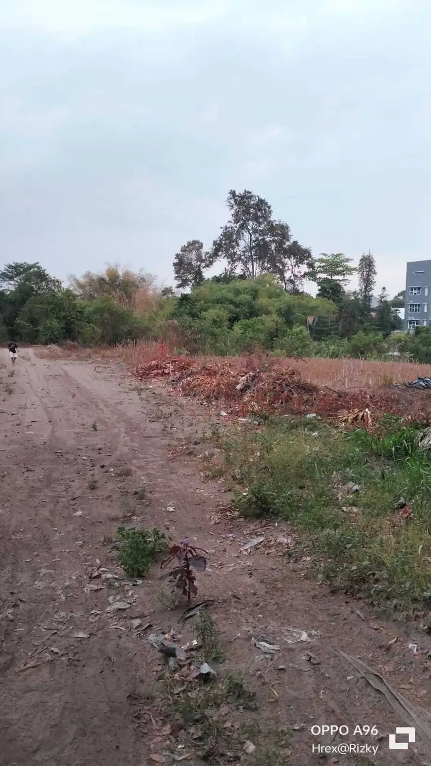 TANAH tegalan murah strategis dekat kampus dan stadion maguwoharjo