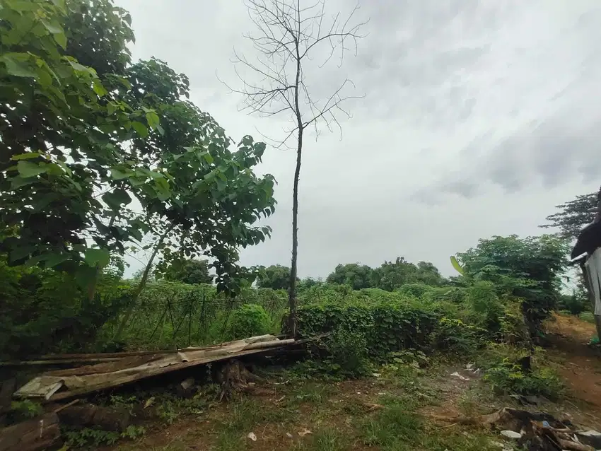 DIJUAL / DILELANG MURAH TANAH KOSONG DI KOTA MAKASSAR