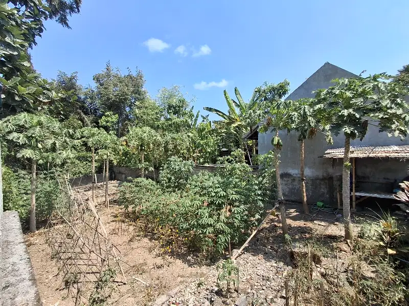 Langka plot kecil 200 m2 pinggir jalan Mas ubud