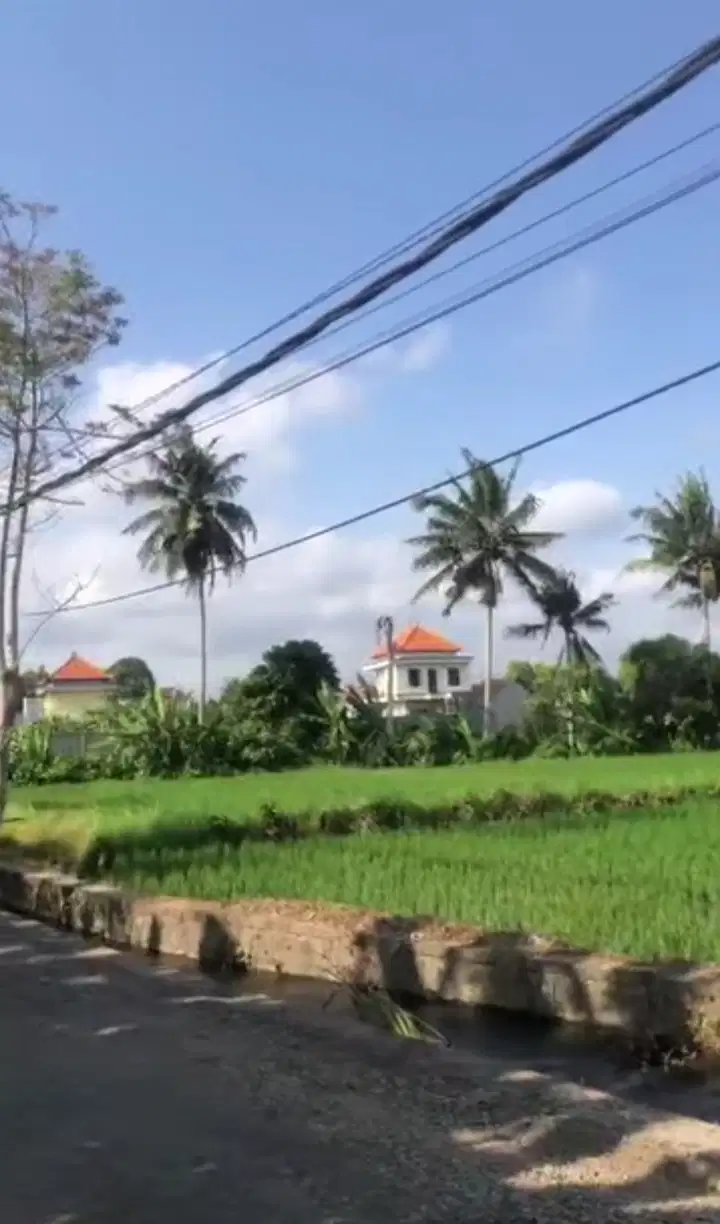 Jual Tanah View Sawah Di Sakah Ubud Bali.