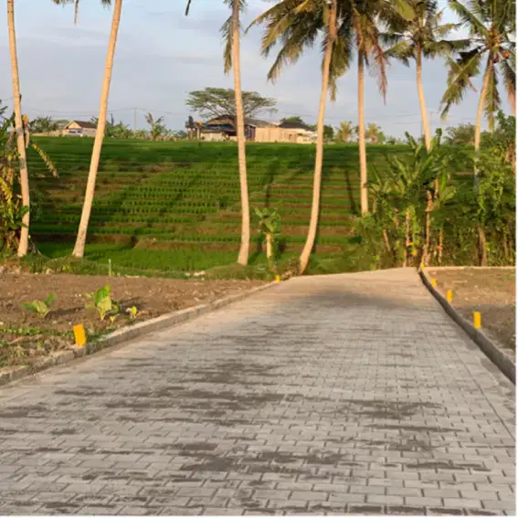 Tanah Desa Tabanan Gubug View Sawah Abadj