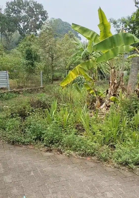 Tanah pekarangan perkampungan