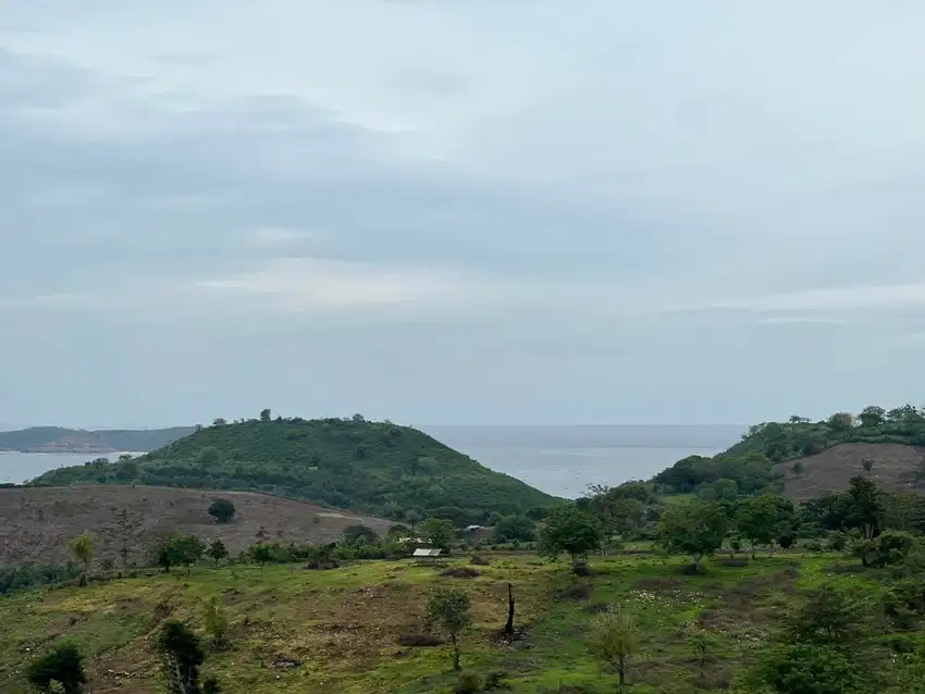 Tanah murah di Awang Kuta Mandalika Lombok. Cocok untuk villa