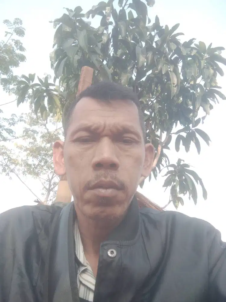 Cari pekerjaan lowongan supir pribadi